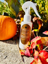 Load image into Gallery viewer, Autumn Reset 4 oz room & linen spray