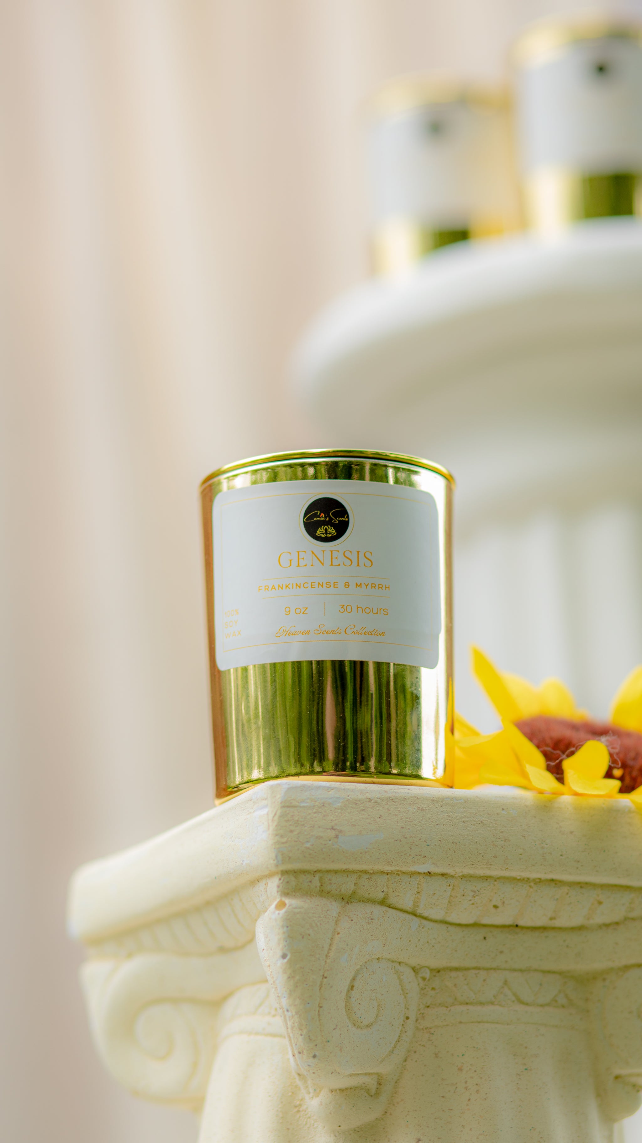 Genesis 9 oz soy wax candle – Camia's Scents